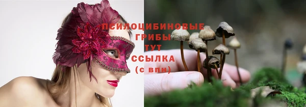 таблы Бронницы