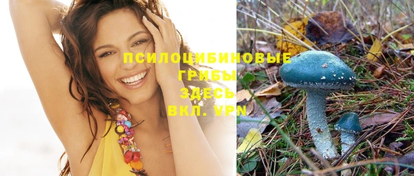 таблы Бронницы