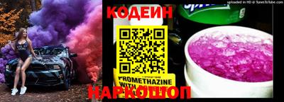 индика Гатчина