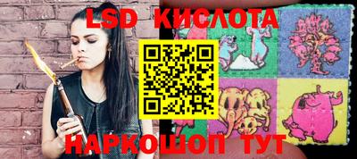 ешки Волгодонск