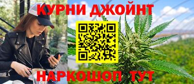 индика Гатчина