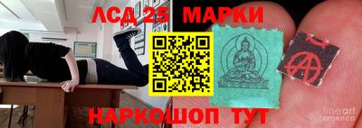 индика Гатчина