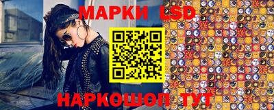 индика Гатчина