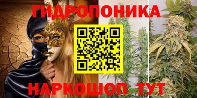 амфетамин Гай