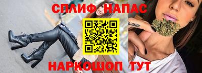 индика Гатчина