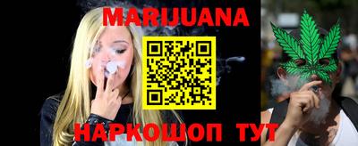 индика Гатчина