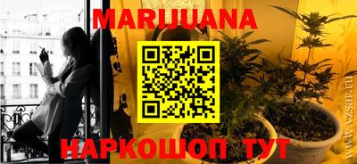 индика Гатчина