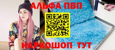 индика Гатчина