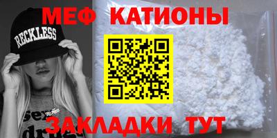 индика Гатчина