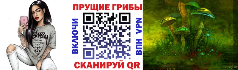 где продают наркотики  kraken зеркало  Галлюциногенные грибы Magic Shrooms  Вязьма 