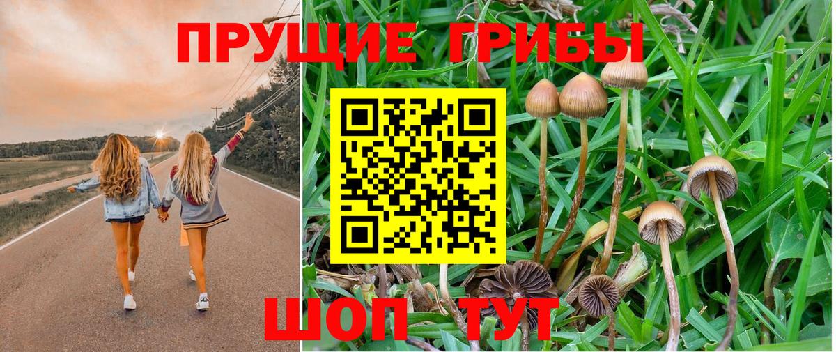 Галлюциногенные грибы MAGIC MUSHROOMS  Галлюциногенные грибы мухоморы  Вязьма 