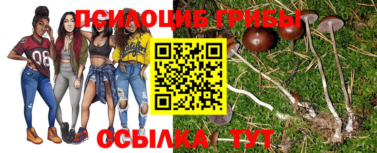 Псилоцибиновые грибы MAGIC MUSHROOMS  Вход с VPN  Галлюциногенные грибы мухоморы  Вязьма 