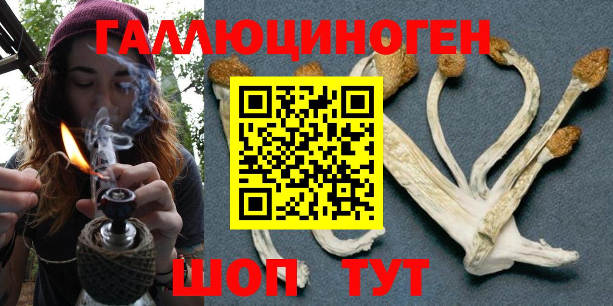 Галлюциногенные грибы Psilocybe Вязьма