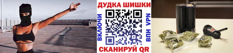 где купить   Вязьма  Шишки марихуана сатива 